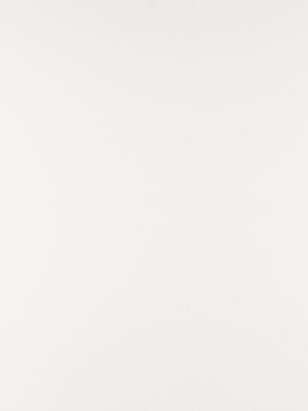 Arctic White