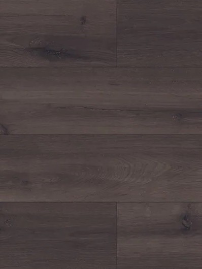 Coffee Oak