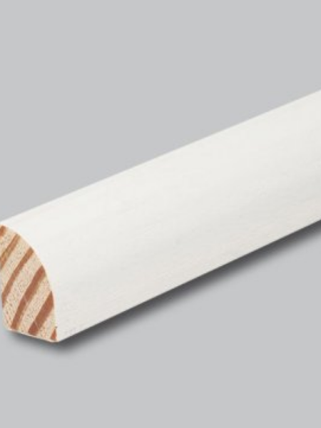 Shoe Molding