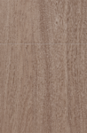 Ash Oak