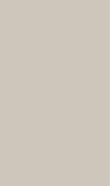Cashmere Light Gray Matte