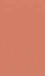 Coral Orange Matte