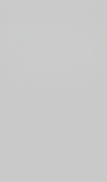 Gris Nube Gray Gloss