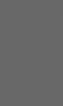 Gris Plomo Gloss | Grey/Matte