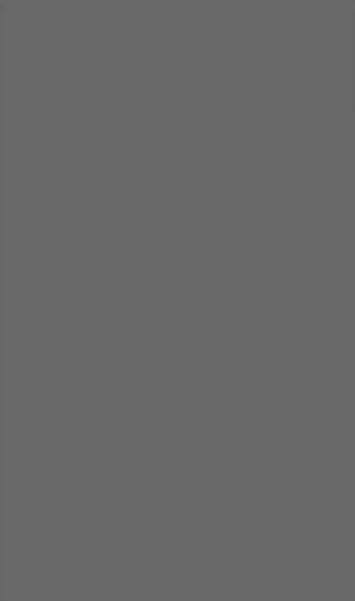 Gris Plomo Gloss | Grey/Matte