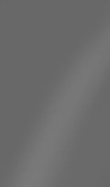 Gris Plomo Gloss