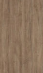 Lakeland Oak 03 Textured
